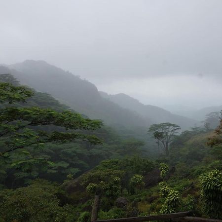 Jungle Tree House Rangala Bed & Breakfast Kandy Ngoại thất bức ảnh