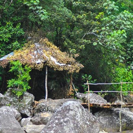 Jungle Tree House Rangala Bed & Breakfast Kandy Ngoại thất bức ảnh