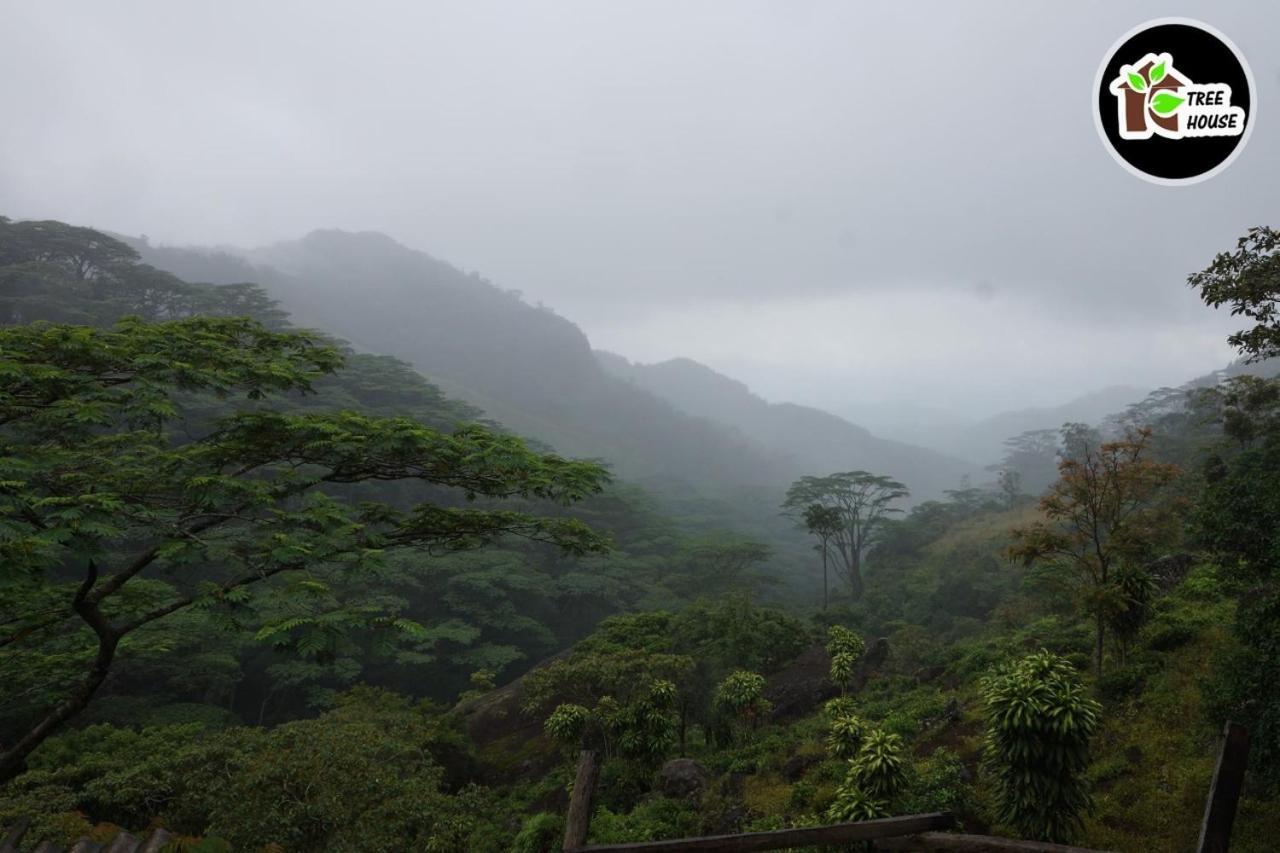 Jungle Tree House Rangala Bed & Breakfast Kandy Ngoại thất bức ảnh