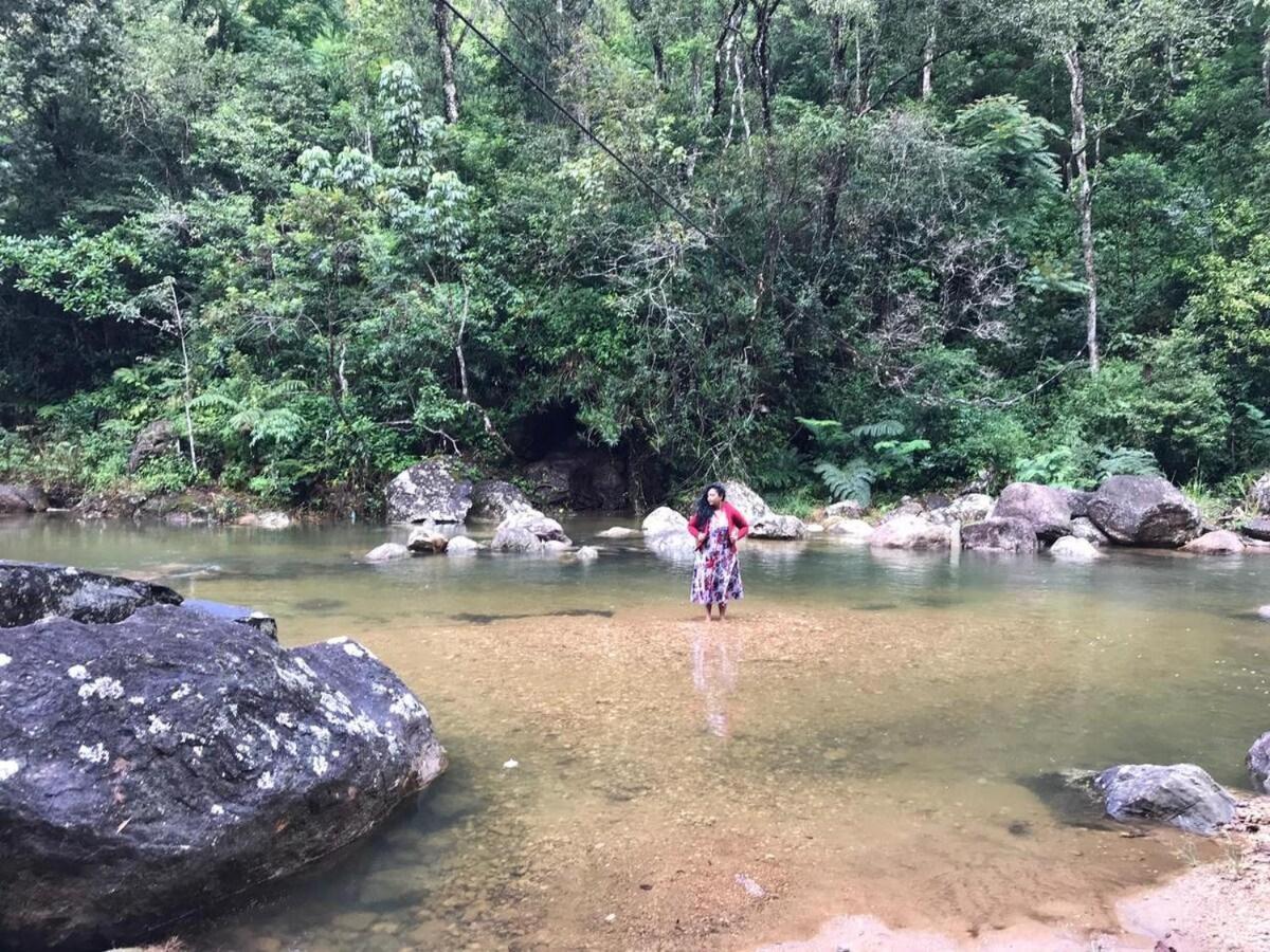Jungle Tree House Rangala Bed & Breakfast Kandy Ngoại thất bức ảnh