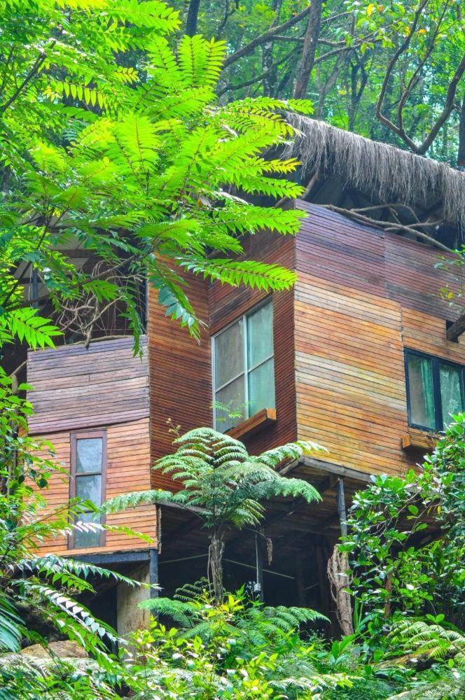 Jungle Tree House Rangala Bed & Breakfast Kandy Ngoại thất bức ảnh