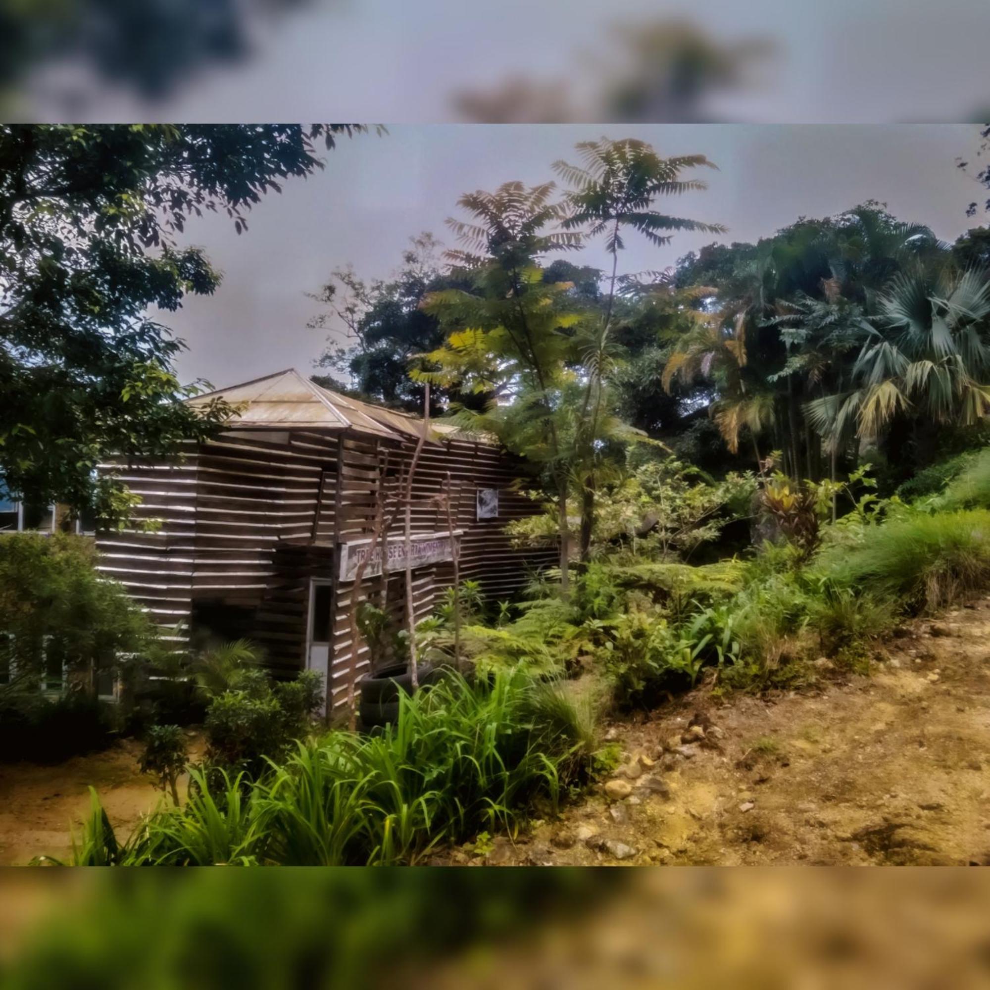 Jungle Tree House Rangala Bed & Breakfast Kandy Ngoại thất bức ảnh